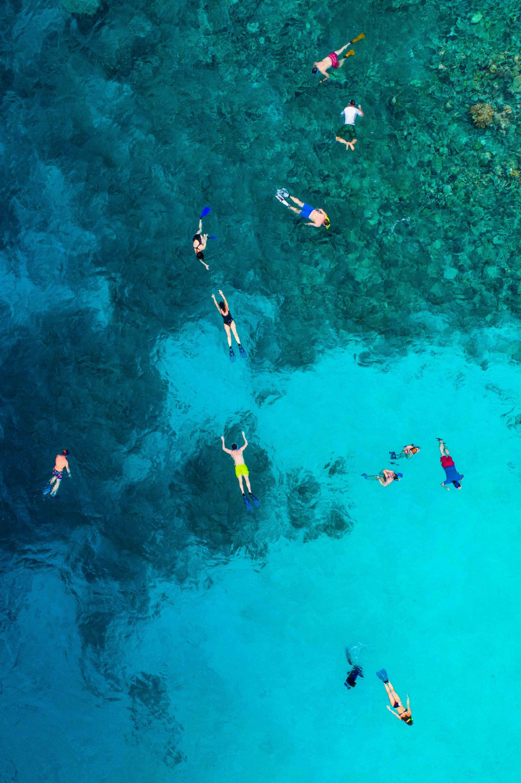 Snorkel Safari - Image 1